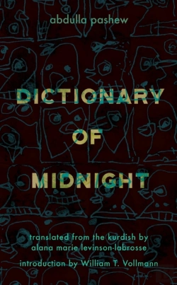 Bertrand.pt - Dictionary Of Midnight