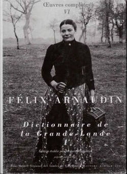 Bertrand.pt - Dictionnaire De La Grande-Lande T.1