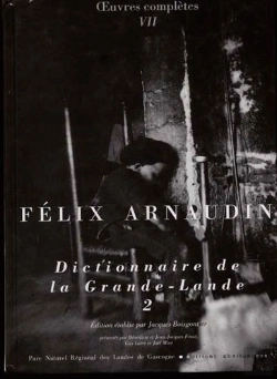 Bertrand.pt - Dictionnaire De La Grande-Lande T.2