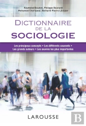 Dictionnaire De La Sociologie