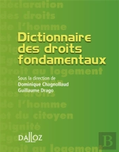 Dictionnaire Des Droits Fondamentaux