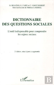 Dictionnaire Des Questions Sociales : L'Outil Indispensable Pour Comprendre Les Enjeux Sociaux