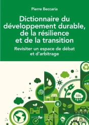 Dictionnaire Du Développement Durable, De La Résilience Et De La Transition : Revisiter La Dimension Institutionnelle Et Sa Gouvernance