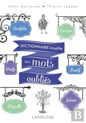 Dictionnaire Insolite Des Mots Oublies