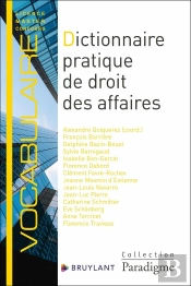 Dictionnaire Pratique De Droit Des Affaires