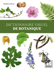Dictionnaire Visuel De Botanique