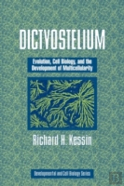 Bertrand.pt - Dictyostelium