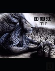 Did You See That