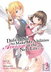 Didn'T I Say To Make My Abilities Average In The Next Life?! (Light Novel) Vol. 3