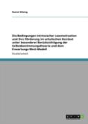 Die Bedingungen Intrinsischer Lesemotivation Und Ihre Forderung Im Schulischen Kontext Unter Besonderer Berucksichtigung  Der Selbstbestimmungstheorie Und  Dem Erwartungs-Wert-Modell