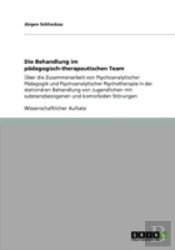 Die Behandlung Im Paã‚Â¤Dagogisch-Therapeutischen Team