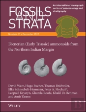 Dienerian (Early Triassic) Ammonoids From The Northern Indian Margin