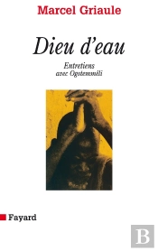 Dieu D'Eau : Entretiens Avec Ogotemmeli