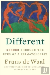 Different 8211 Gender Through The Ey