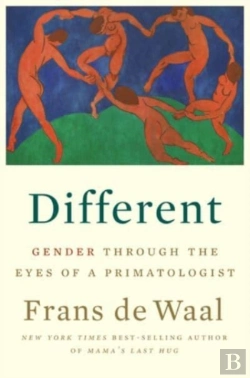 Bertrand.pt - Different 8211 Gender Through The Ey
