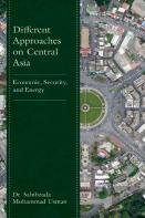 Different Approaches On Central Asia