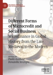 Different Forms Of Microcredit And Social Business