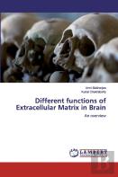 Different Functions Of Extracellular Matrix In Brain