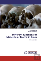 Different Functions Of Extracellular Matrix In Brain