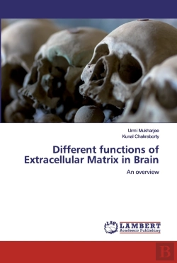 Bertrand.pt - Different Functions Of Extracellular Matrix In Brain