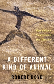 Different Kind Of Animal