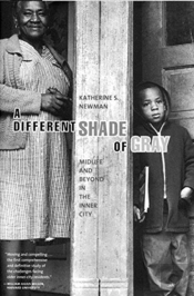 Different Shade Gray Midlife Beyond Hb