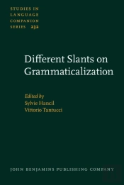 Different Slants On Grammaticalization