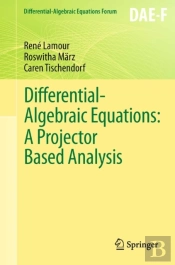Differential-Algebraic Equations: A Projector Based Analysis