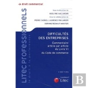 Difficultés Des Entreprises
