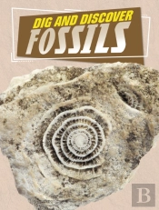 Dig And Discover Fossils