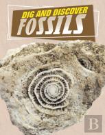 Dig And Discover Fossils