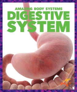 Bertrand.pt - Digestive System