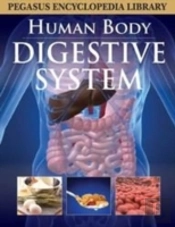 Digestive System