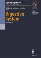 Digestive System