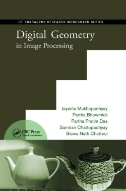Bertrand.pt - Digital Geometry In Image Processing