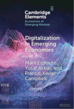 Bertrand.pt - Digitalization In Emerging Economies