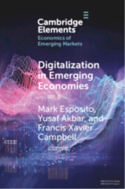 Bertrand.pt - Digitalization In Emerging Economies