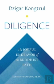 Diligence