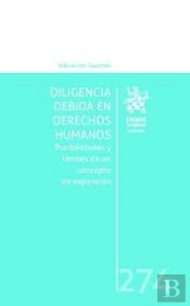 Diligencia Debida En Derechos Humanos Posibilidades Y Limit