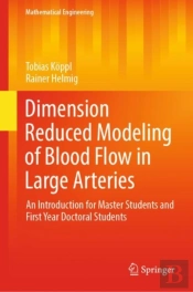Dimension Reduced Modeling Of Blood Flow In Large Arteries
