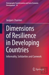 Dimensions Of Resilience In Developing Countries