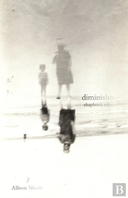Bertrand.pt - Diminishing
