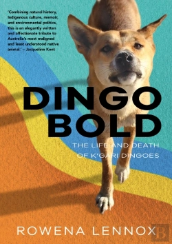 Bertrand.pt - Dingo Bold