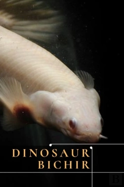 Bertrand.pt - Dinosaur Bichir
