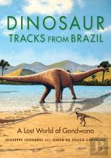 Dinosaur Tracks From Brazil