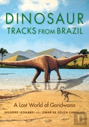 Dinosaur Tracks From Brazil