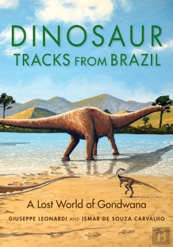 Bertrand.pt - Dinosaur Tracks From Brazil