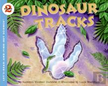 Dinosaur Tracks