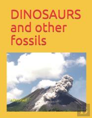 Dinosaurs And Other Fossils