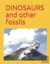 Dinosaurs And Other Fossils